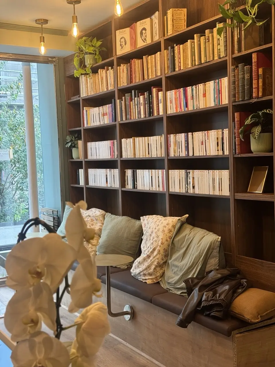 La bibliothèque murale de Combray, éditions classiques de Balzac et collections de poche, au-dessus d'une banquette en cuir marron, une orchidée blanche au premier plan